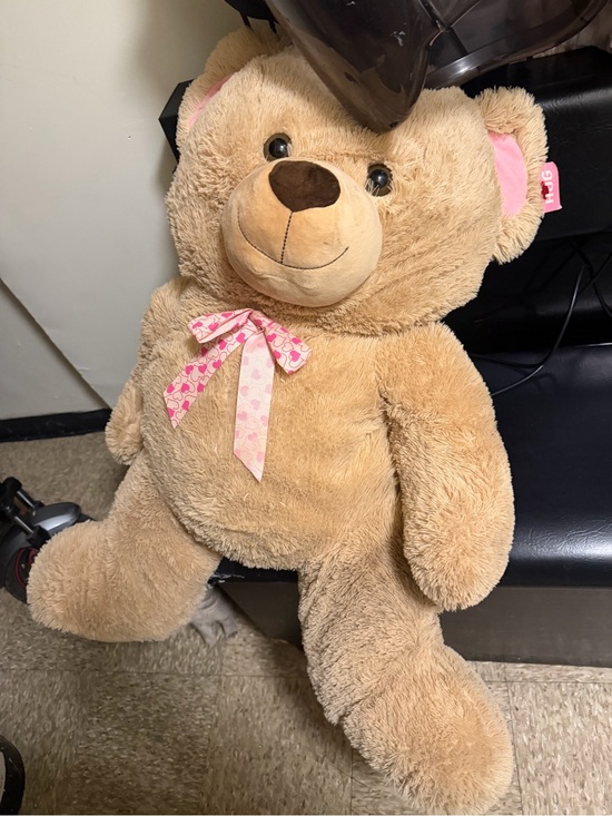Other - Plush Beige Teddy Bear with Pink Bow - Soft Kids Toy NWT